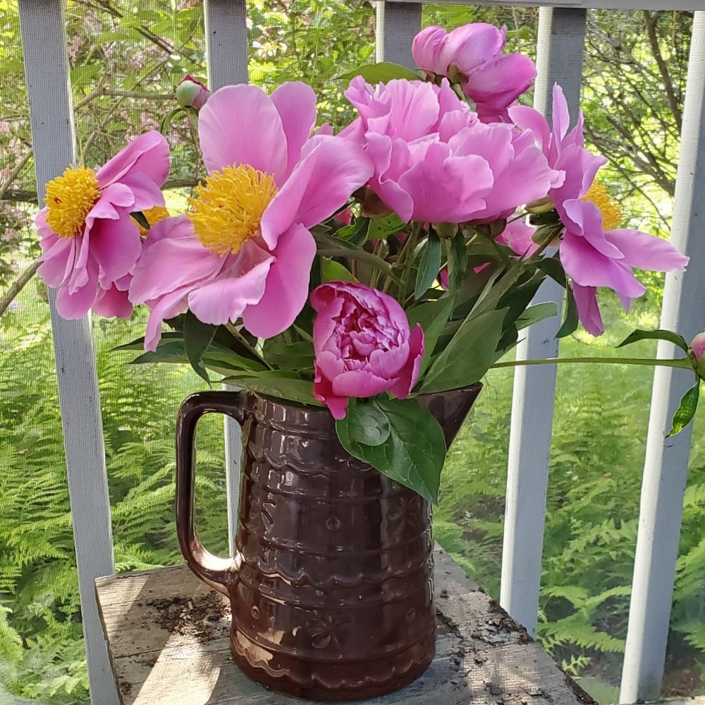 Meet your Posher, Brooke